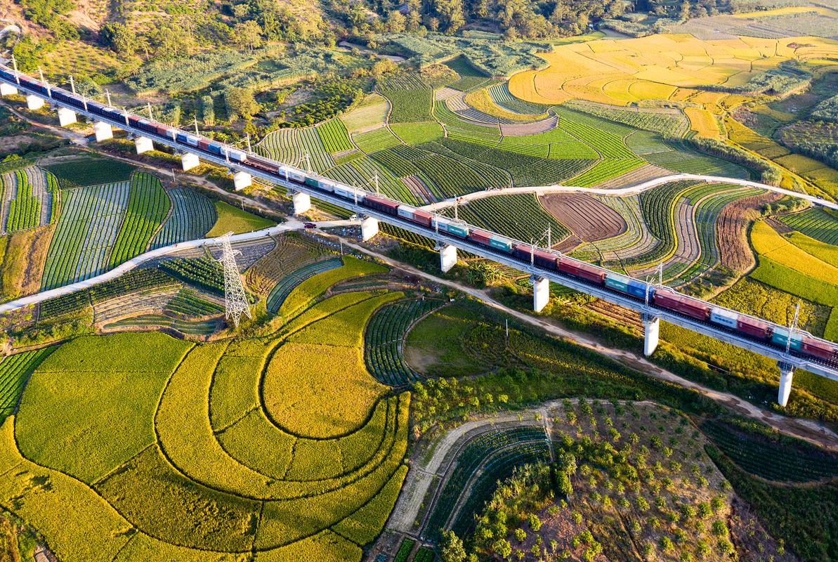 Discover the Real Nation